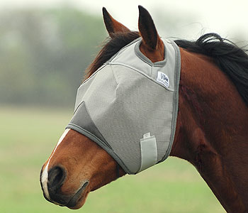 Fly Mask for Drafts